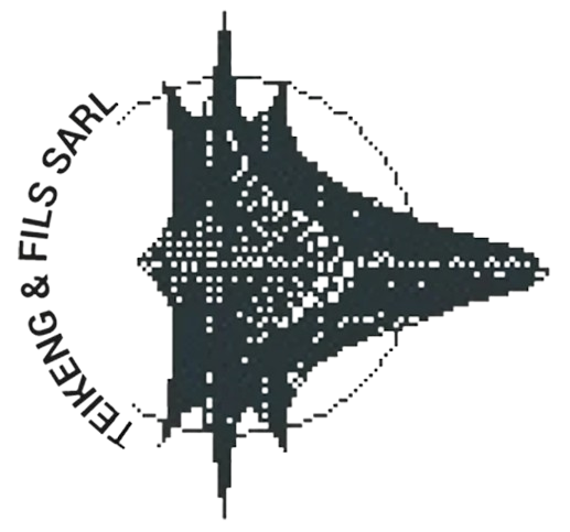 TEKEING & FILS spécialisée dans le domaine de l’étanchéité et l’isolation des toitures terrasses, du diagnostic solutionnel jusqu’à la réalisation des travaux